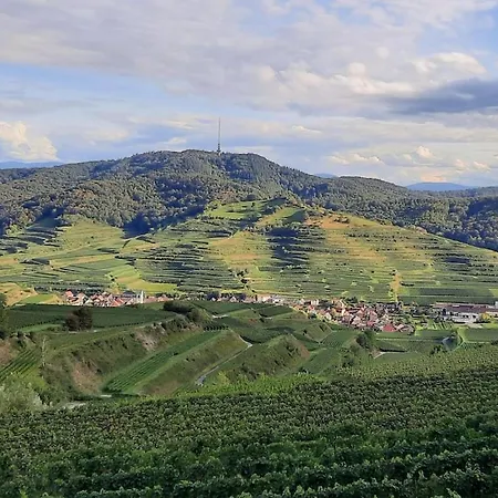 Im Baumgarten Comfortable Дом отдыха *