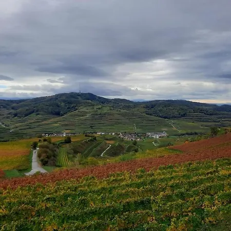 Im Baumgarten Comfortable Дом отдыха *